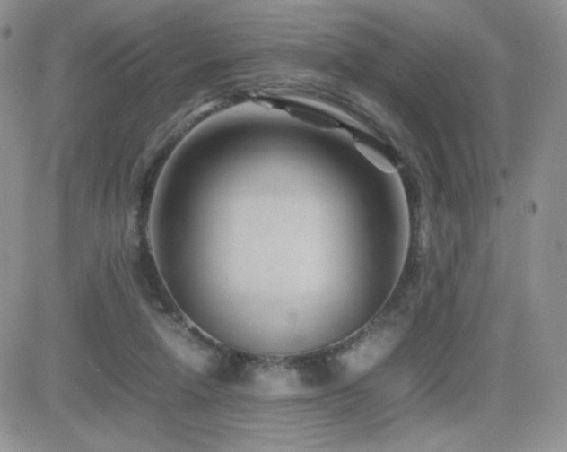 X0000082700258200701261253