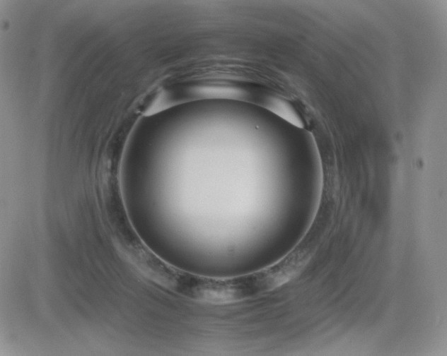 X0000082700263200701261253