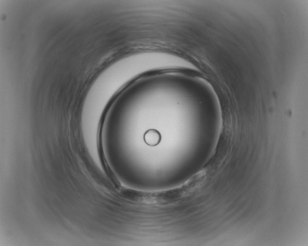 X0000082700264200701261253