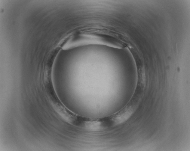 X0000082700266200701261253