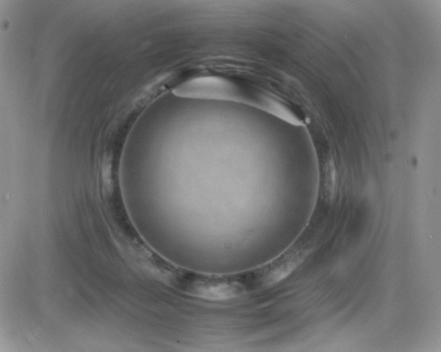 X0000082700267200701261253