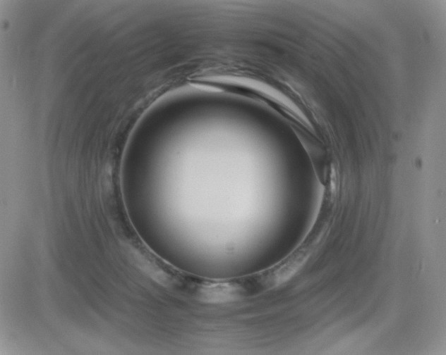 X0000082700269200701261253