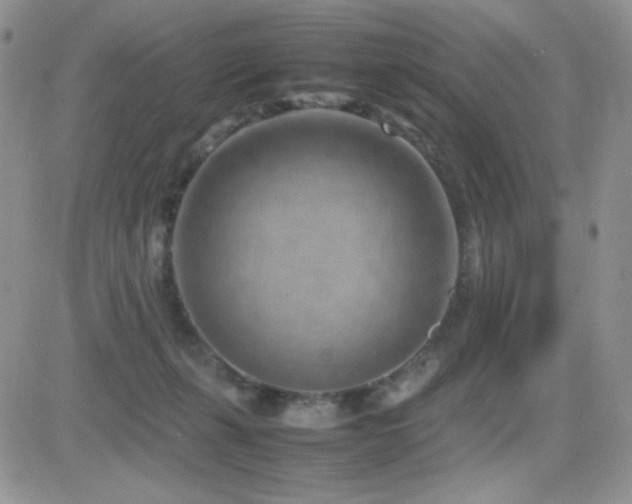 X0000082700271200701261253