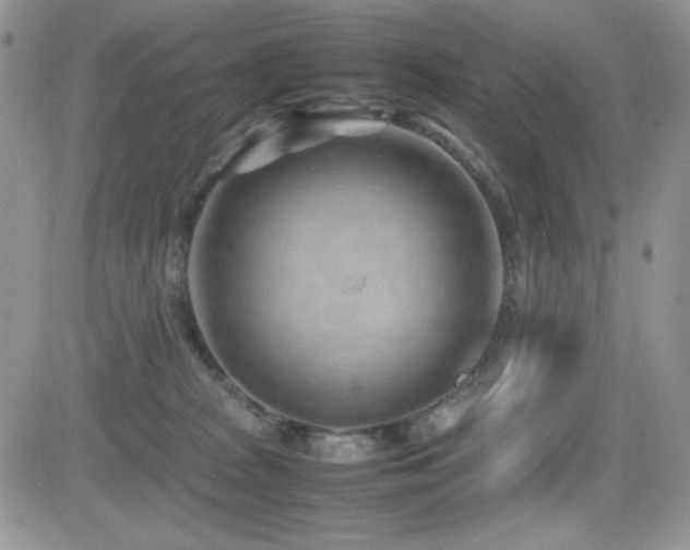 X0000082700277200701261253