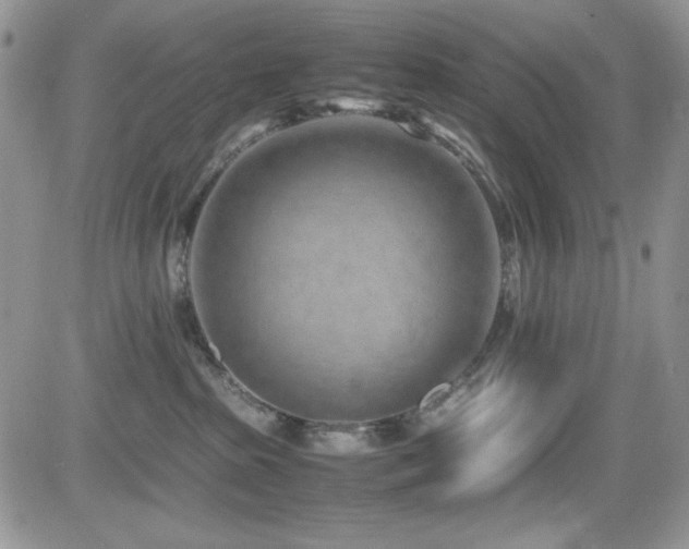 X0000082700285200701261253