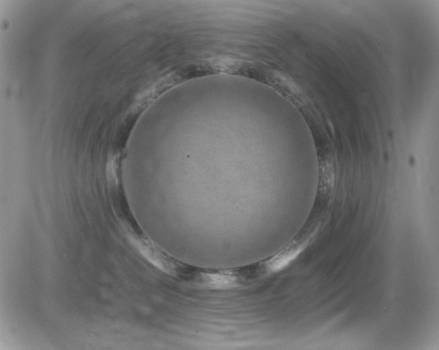 X0000082700286200701261253