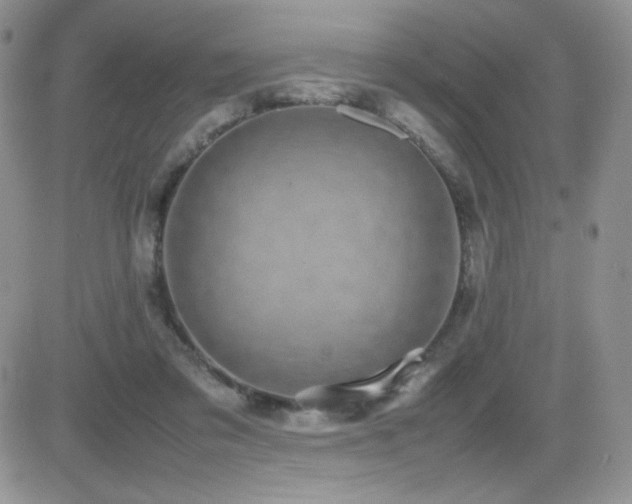 X0000082700309200701261252