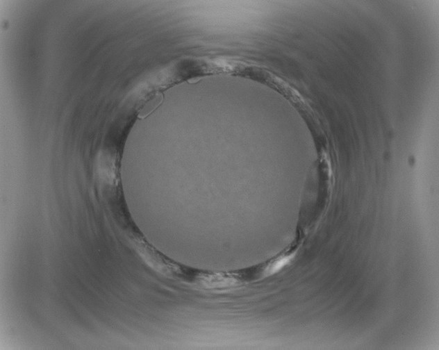 X0000082700331200701261252
