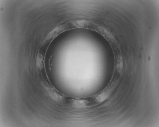 X0000082700332200701261252