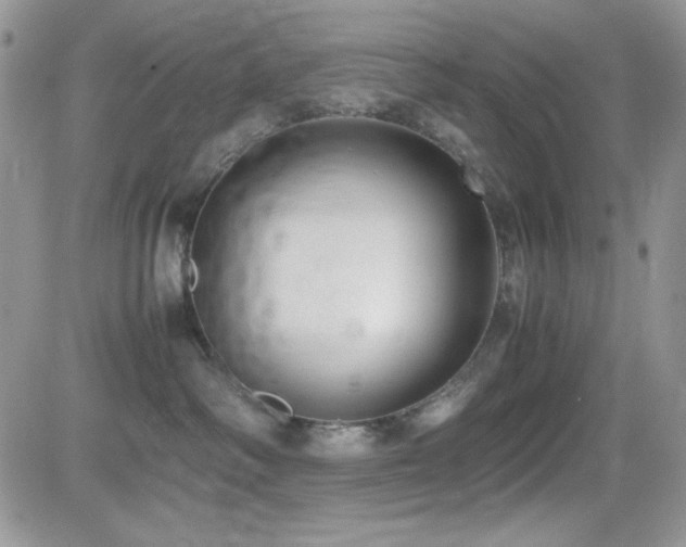 X0000082700334200701261252
