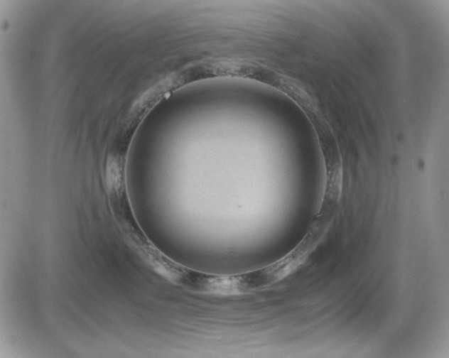 X0000082700335200701261252