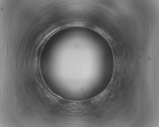 X0000082700338200701261251