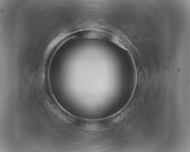 X0000082700344200701261251