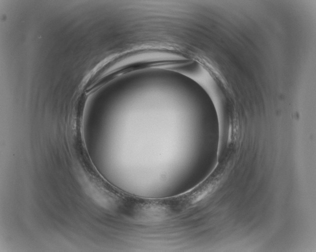 X0000082700348200701261251