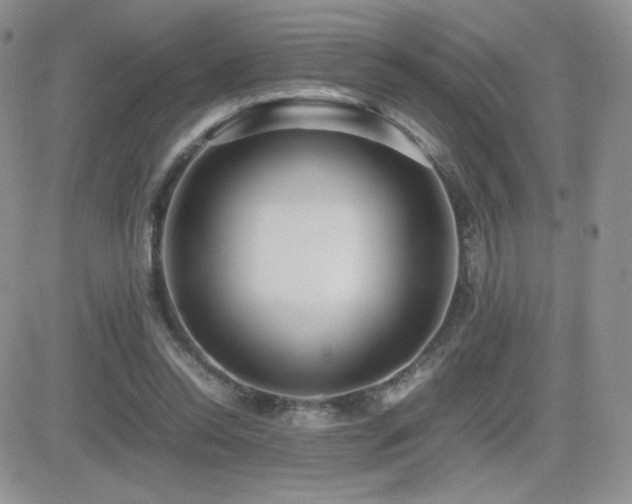 X0000082700350200701261251