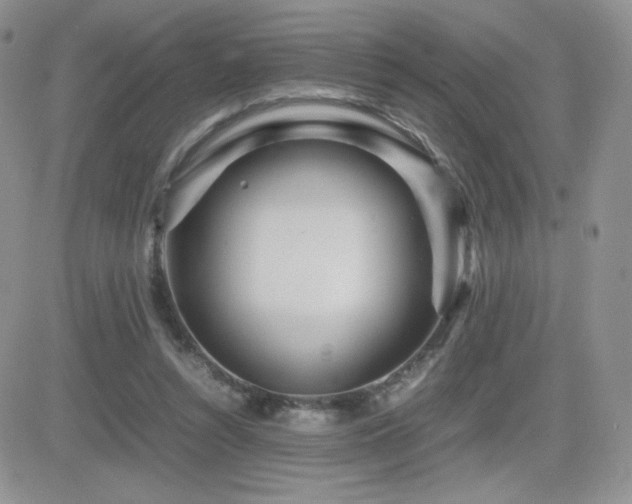X0000082700352200701261251