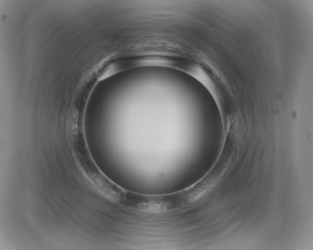 X0000082700356200701261251