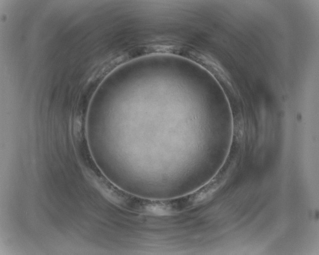 X0000082700365200701261251