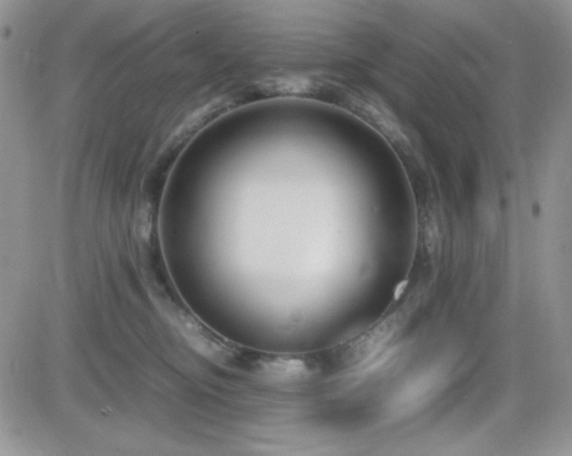 X0000082700374200701261252
