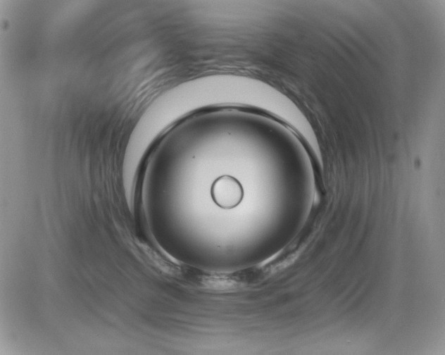 X0000082700380200701261252
