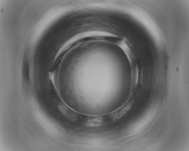 X0000082700382200701261252