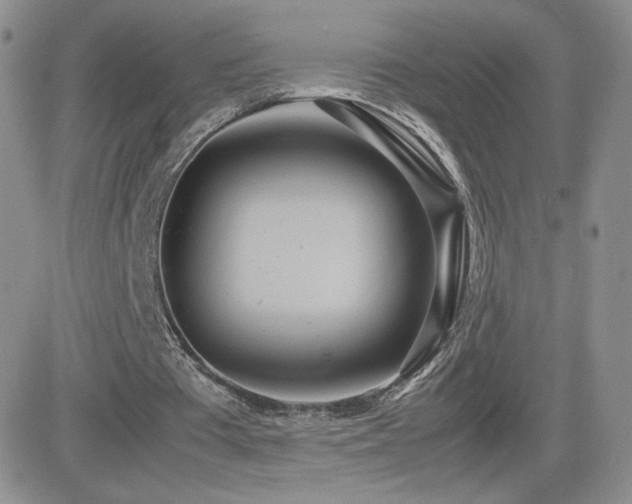 X0000082700385200701261251