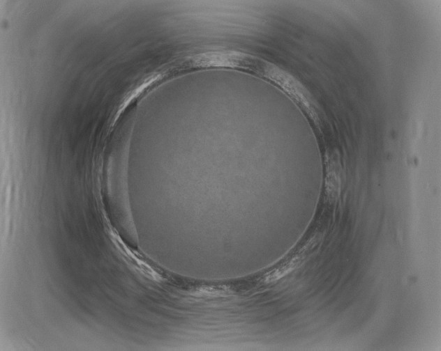 X0000082700386200701261251