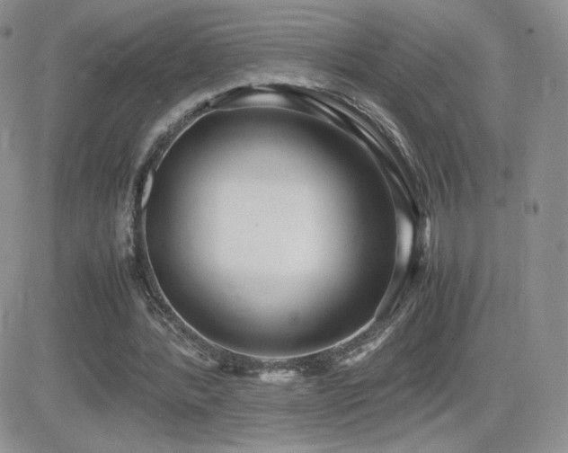 X0000082700388200701261251