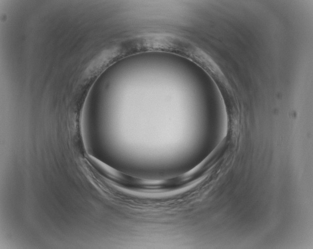 X0000082700401200701261251
