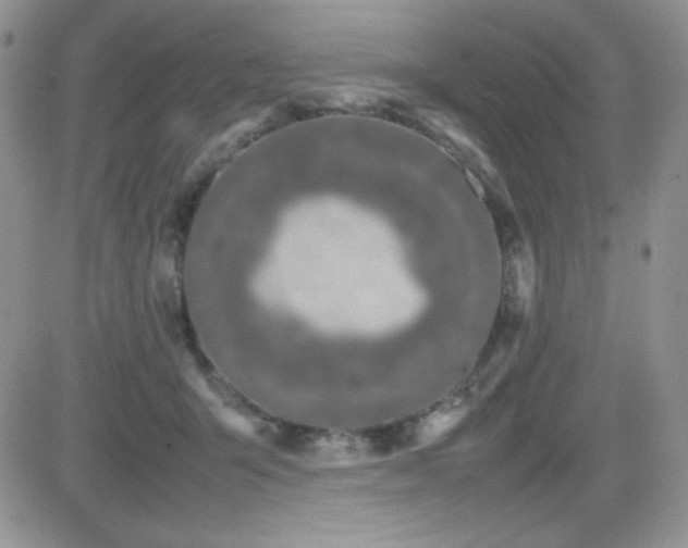 X0000082700415200701261250