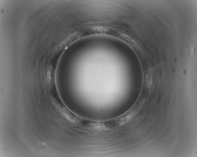 X0000082700424200701261250