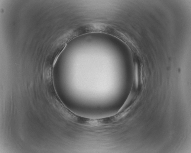 X0000082700425200701261250