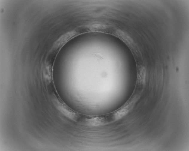 X0000082700430200701261250