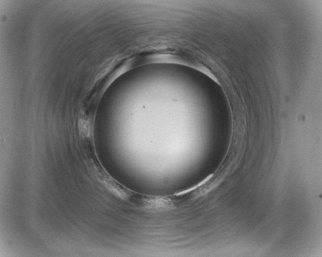 X0000082700432200701261250