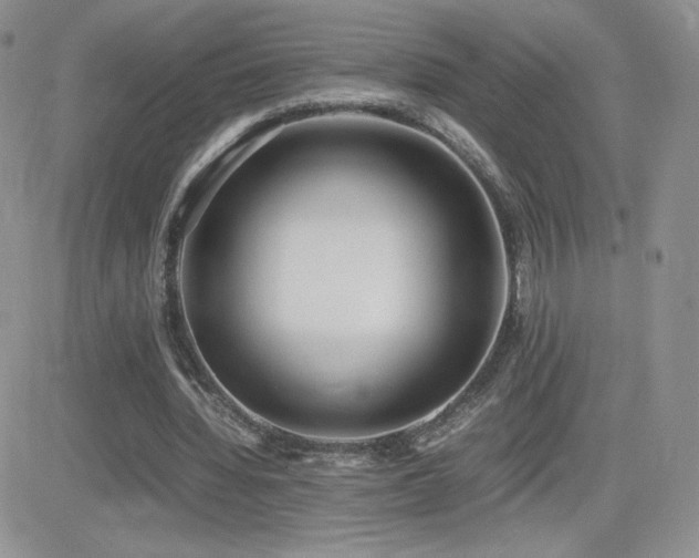 X0000082700436200701261249