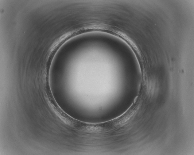 X0000082700437200701261249