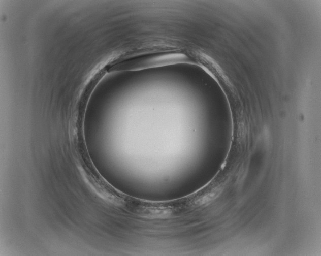 X0000082700443200701261250