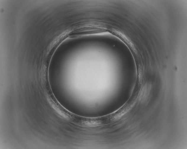 X0000082700445200701261250