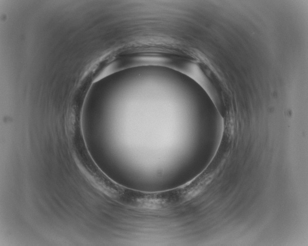 X0000082700448200701261250