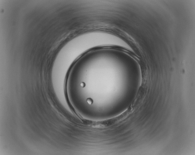 X0000082700452200701261250