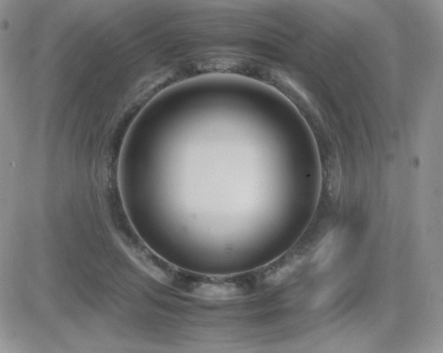 X0000082700455200701261250