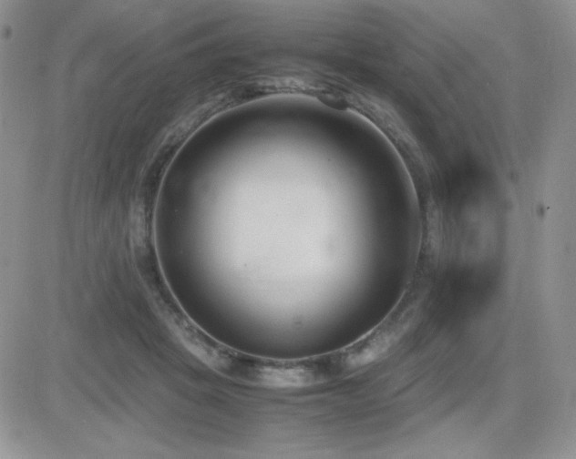 X0000082700457200701261250