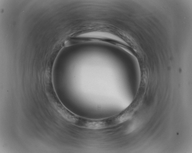 X0000082700461200701261250