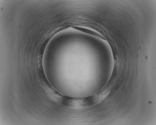 X0000082700462200701261250