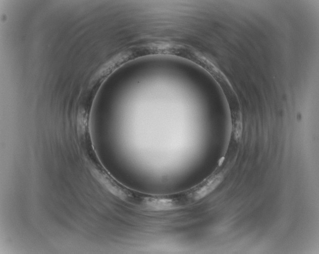 X0000082700476200701261250