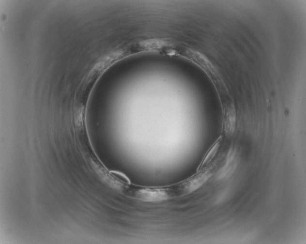 X0000082700477200701261250
