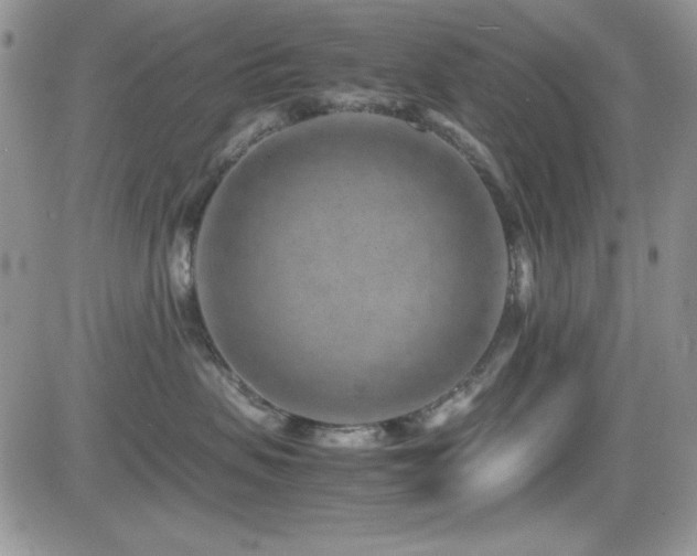 X0000082700479200701261250