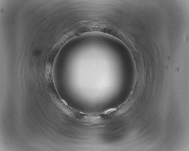 X0000082700480200701261250