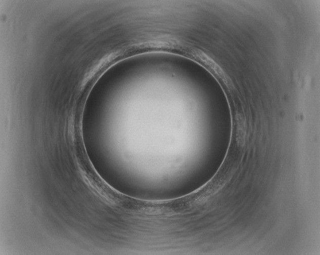 X0000082700482200701261249