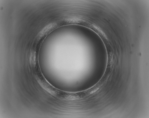 X0000082700494200701261249